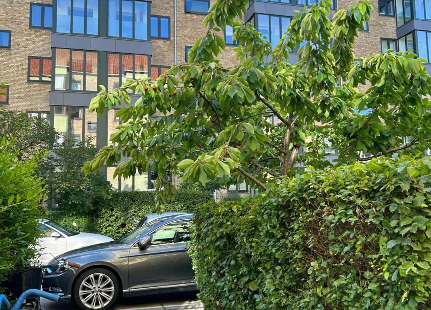 Dream Stay In Centre Copenhagen Denmark